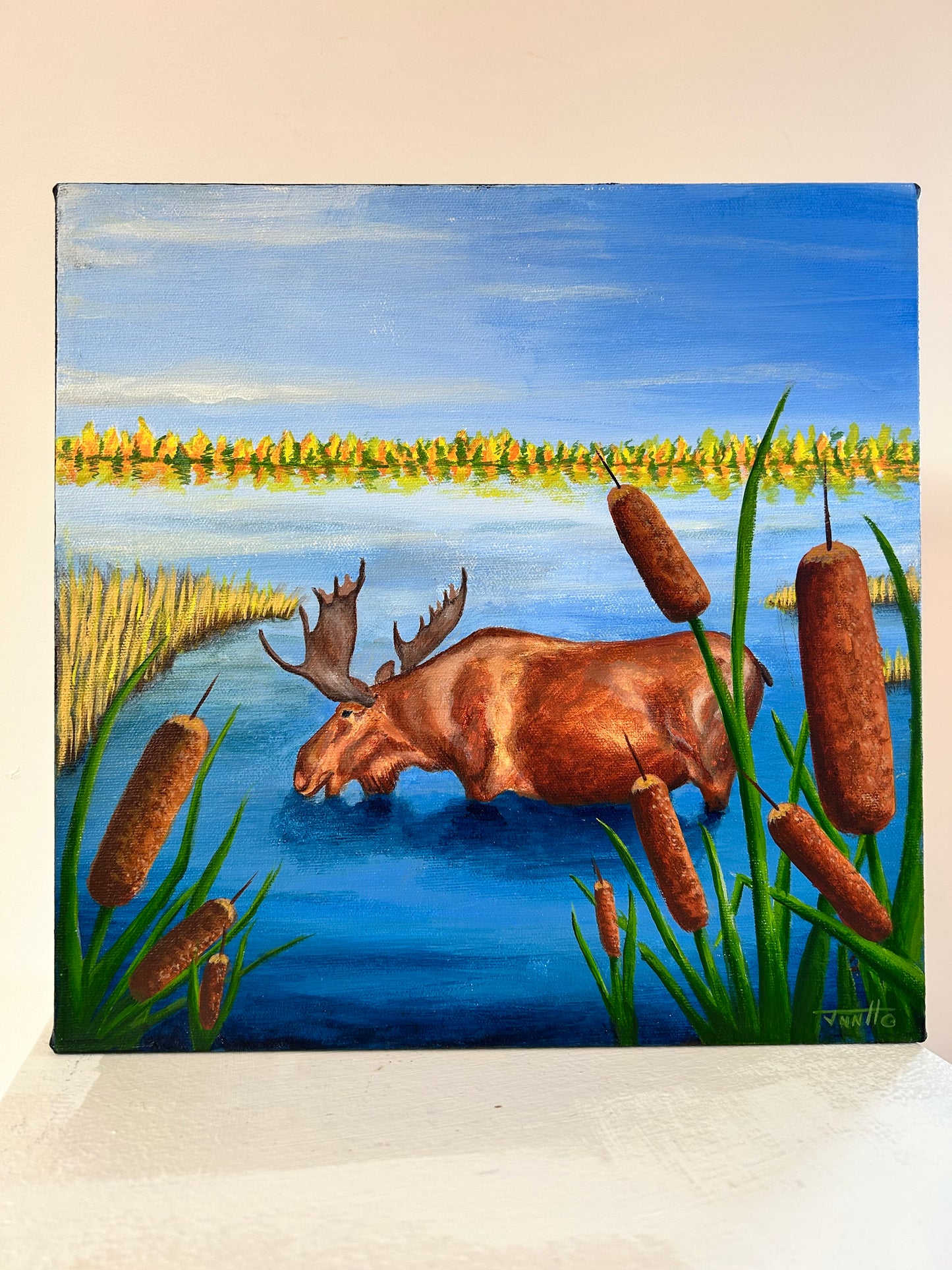 Moose by Jeannette Hay