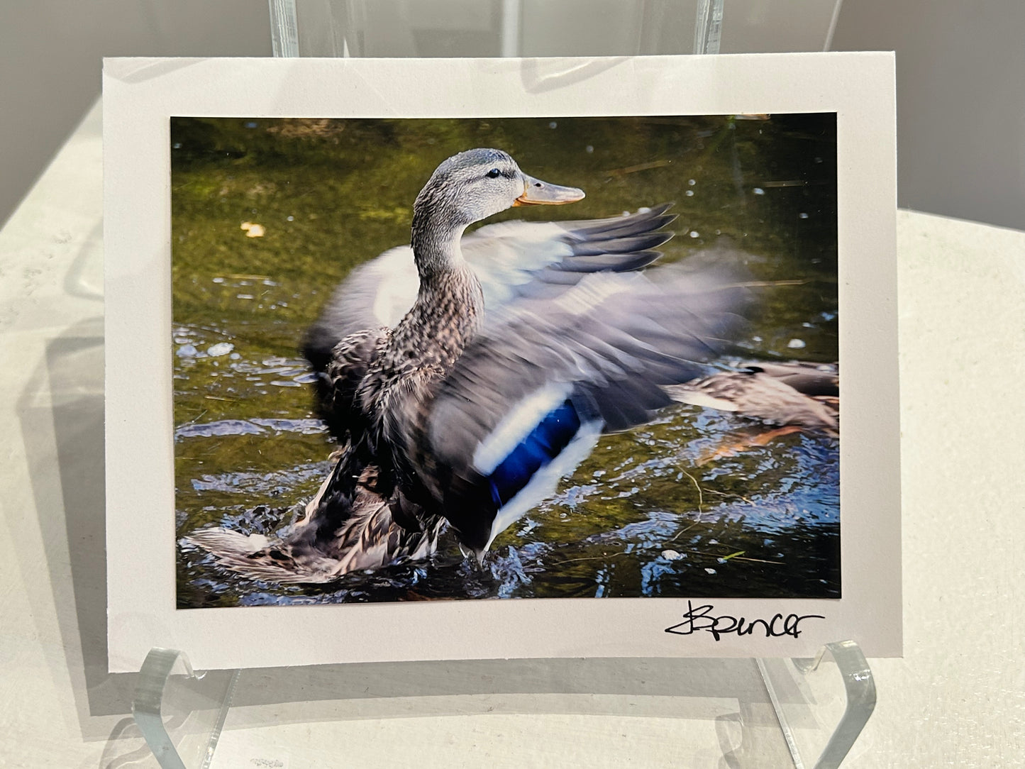 Photo Card by Jane Spencer