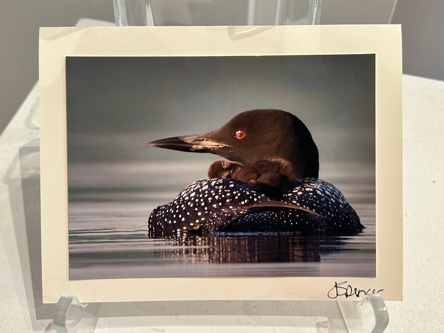 Photo Card by Jane Spencer
