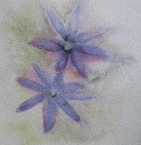 Purple Edges