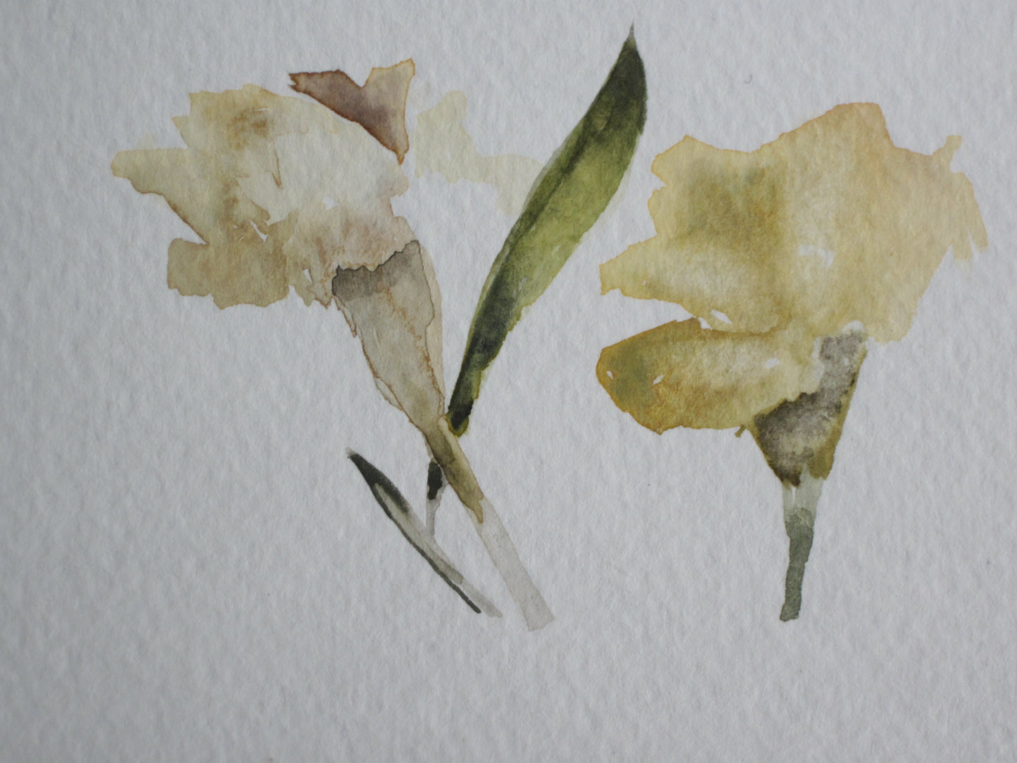 Soft Yellow Rags