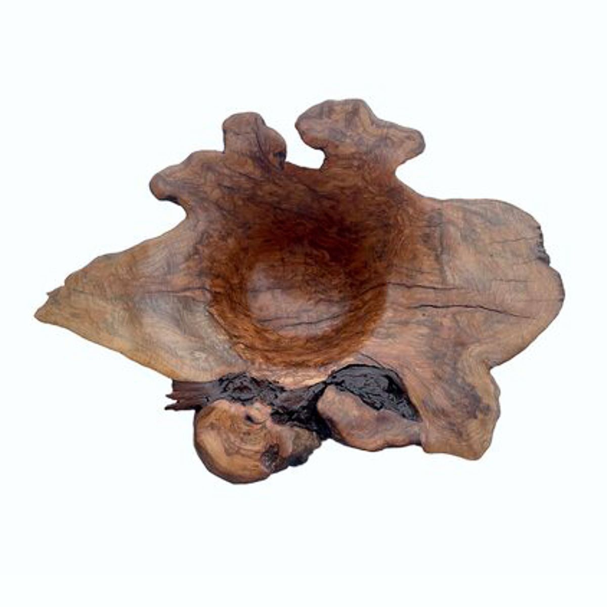 Forest Energy Sugar Maple Burl Bowl