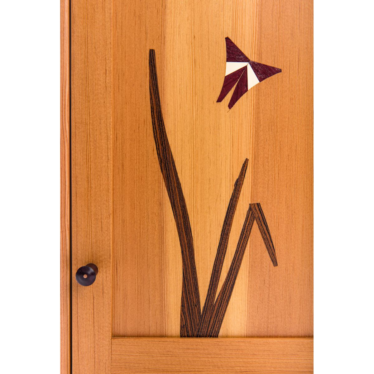 Butterfly Cabinet