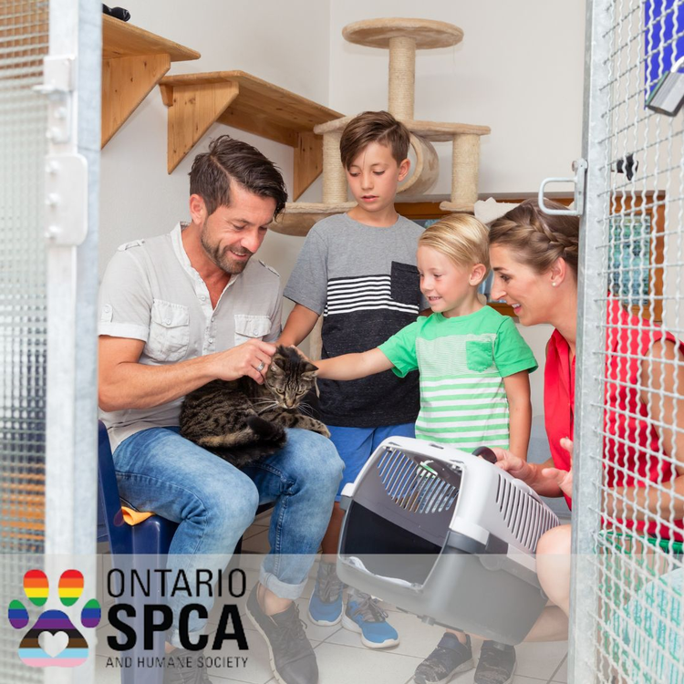 Ontario SPCA Muskoka Animal Centre