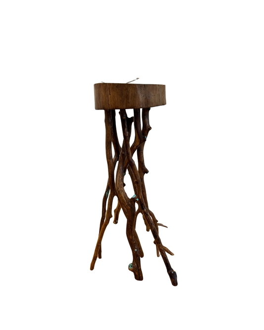 Forest Squid