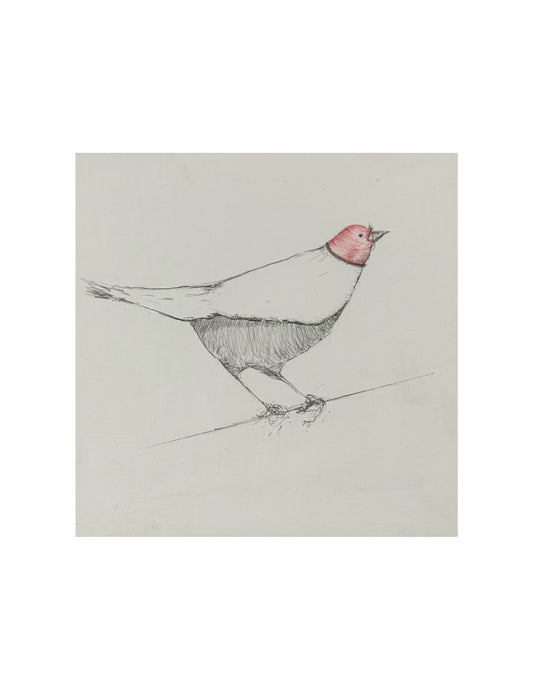 Bird by Brendan Duggan