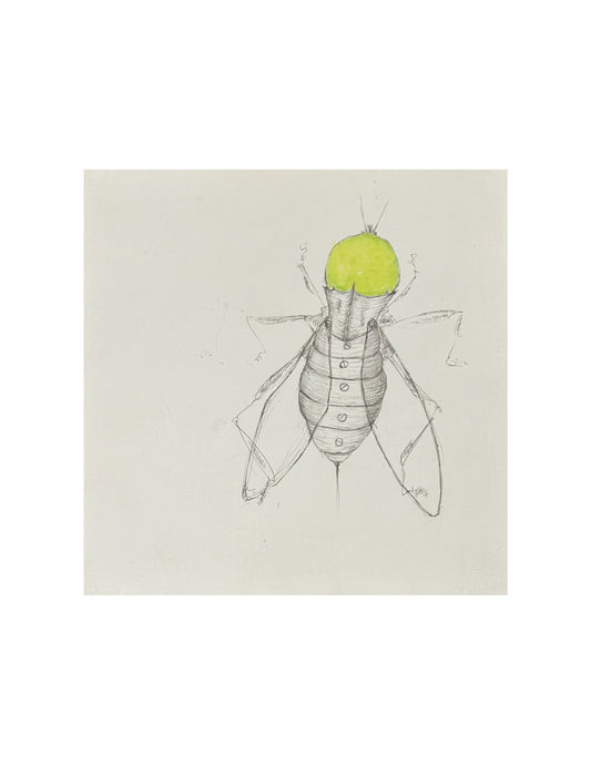 Greenbottle by Brendan Duggan