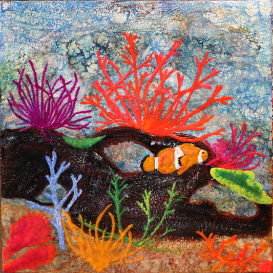 Corals