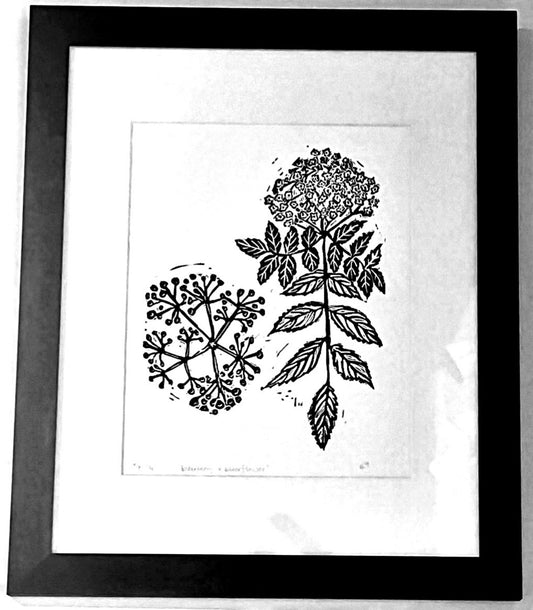 Elderberry & Elderflower