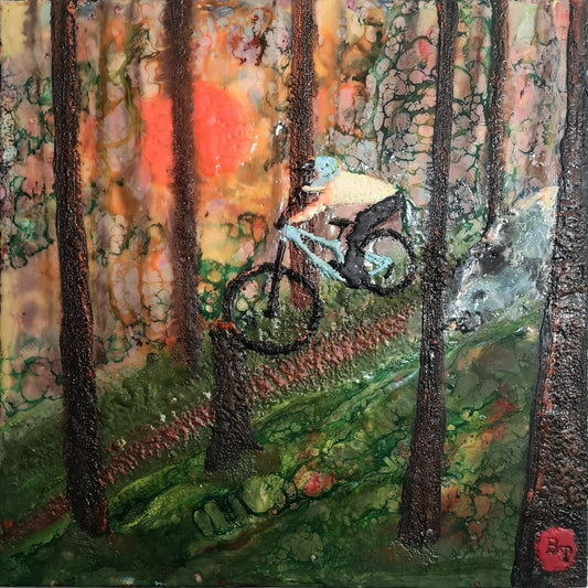 Enchanted Forest