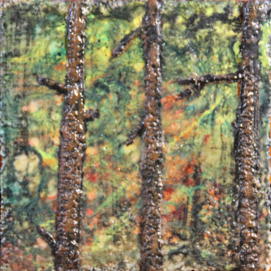 Enchanted Forest II