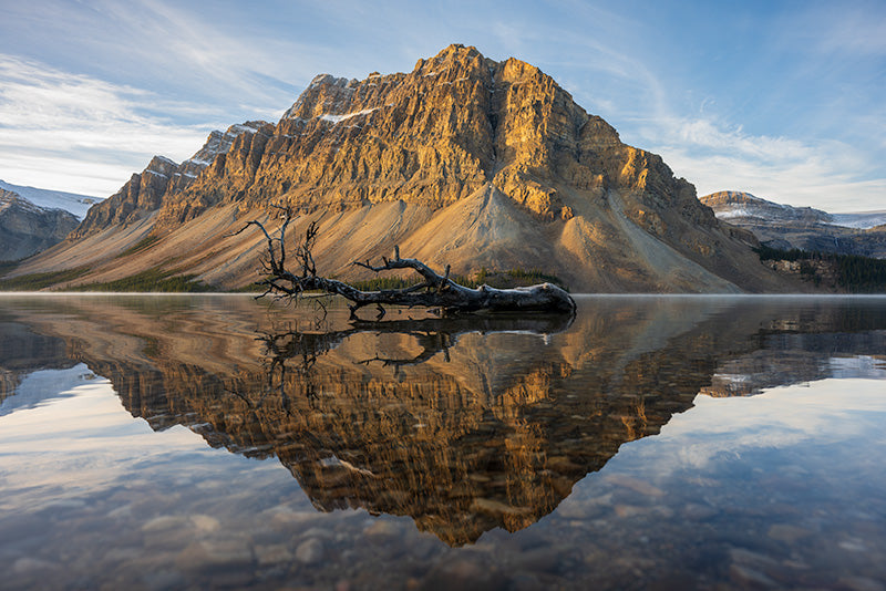 Bow Lake