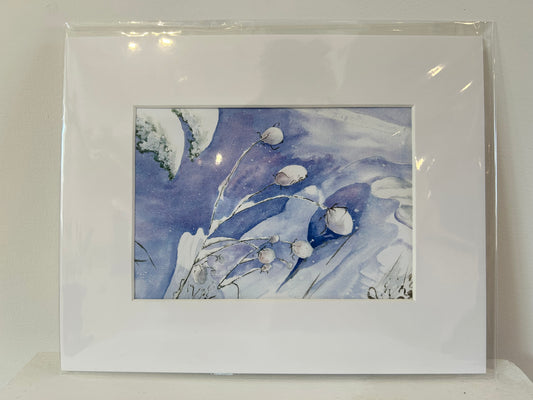 Teasels in Winter (Print) by Martha Davis