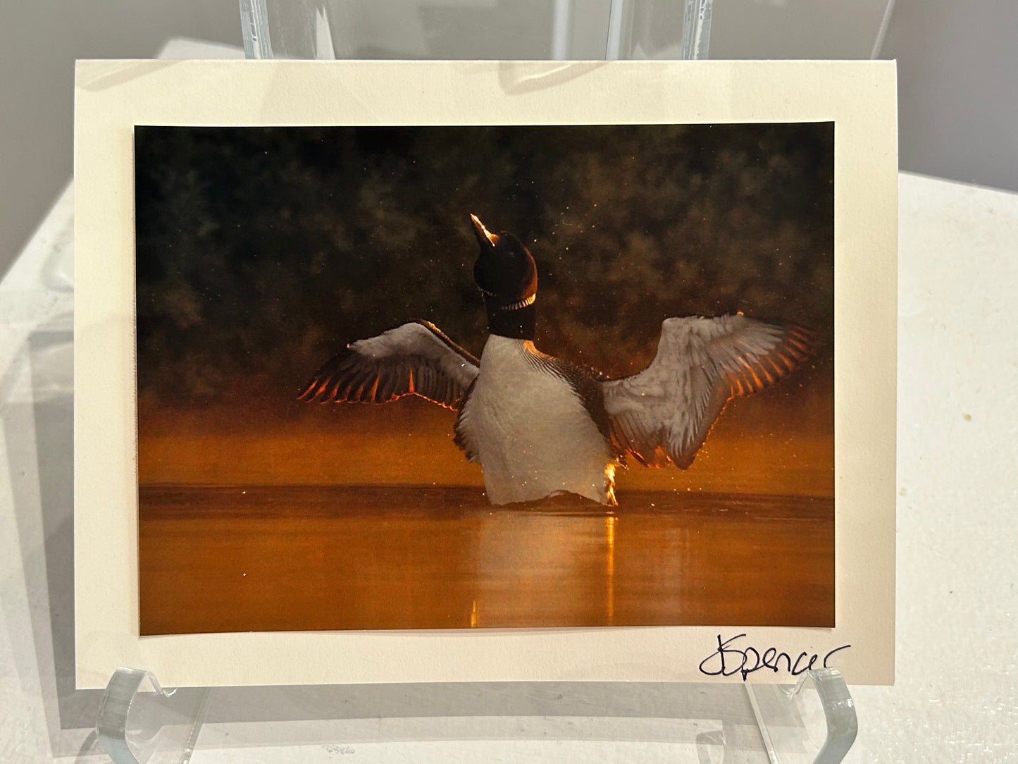 Photo Card by Jane Spencer