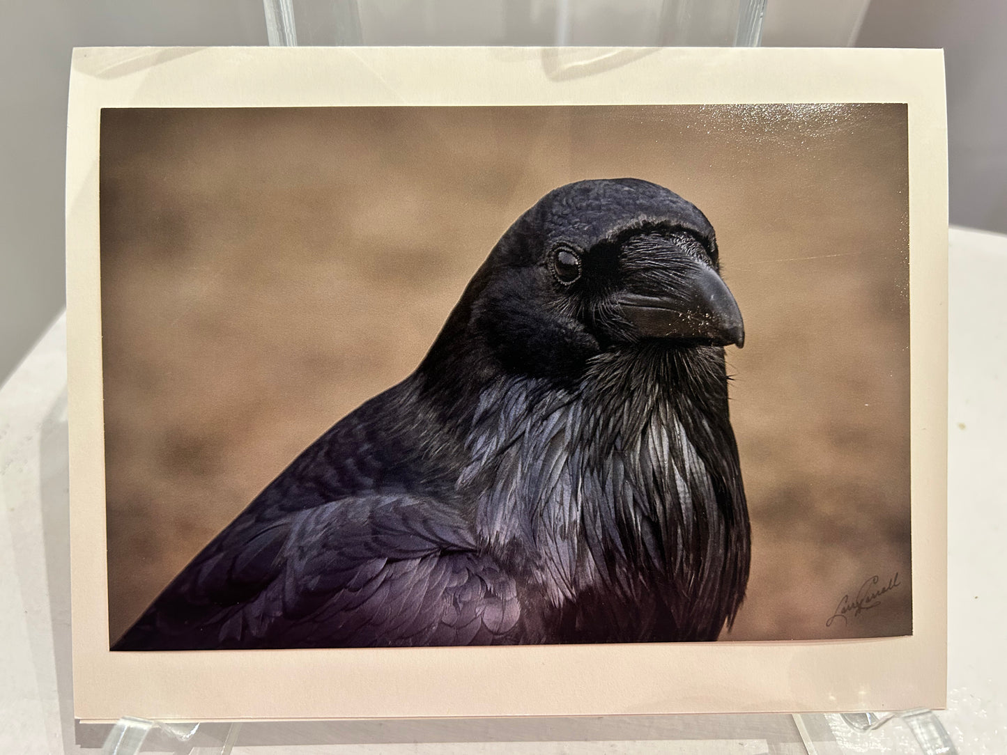 Photo Card by Larry Carroll