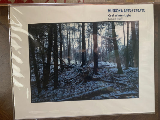 Cool Winter Light by Nichole Rulff