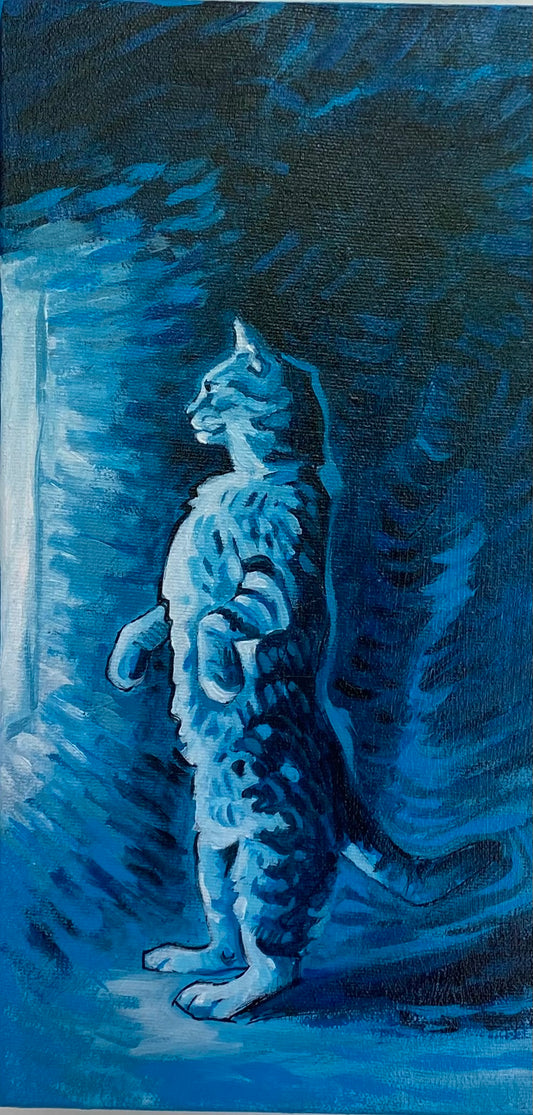 Indoor Cat