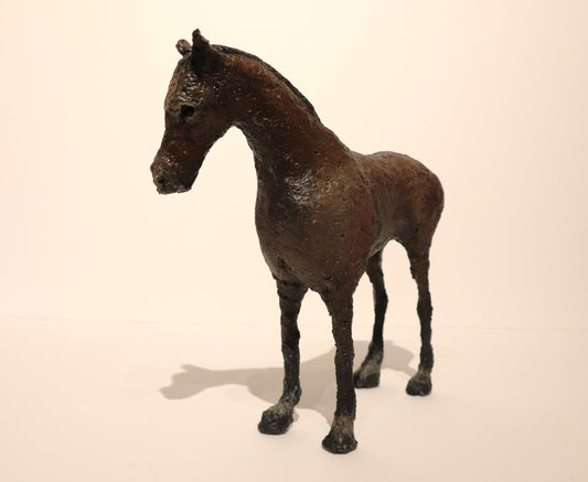 Polo Pony