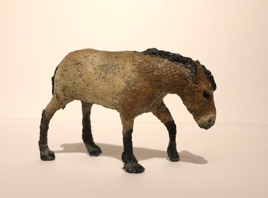 Przewalski’s Wild Horse