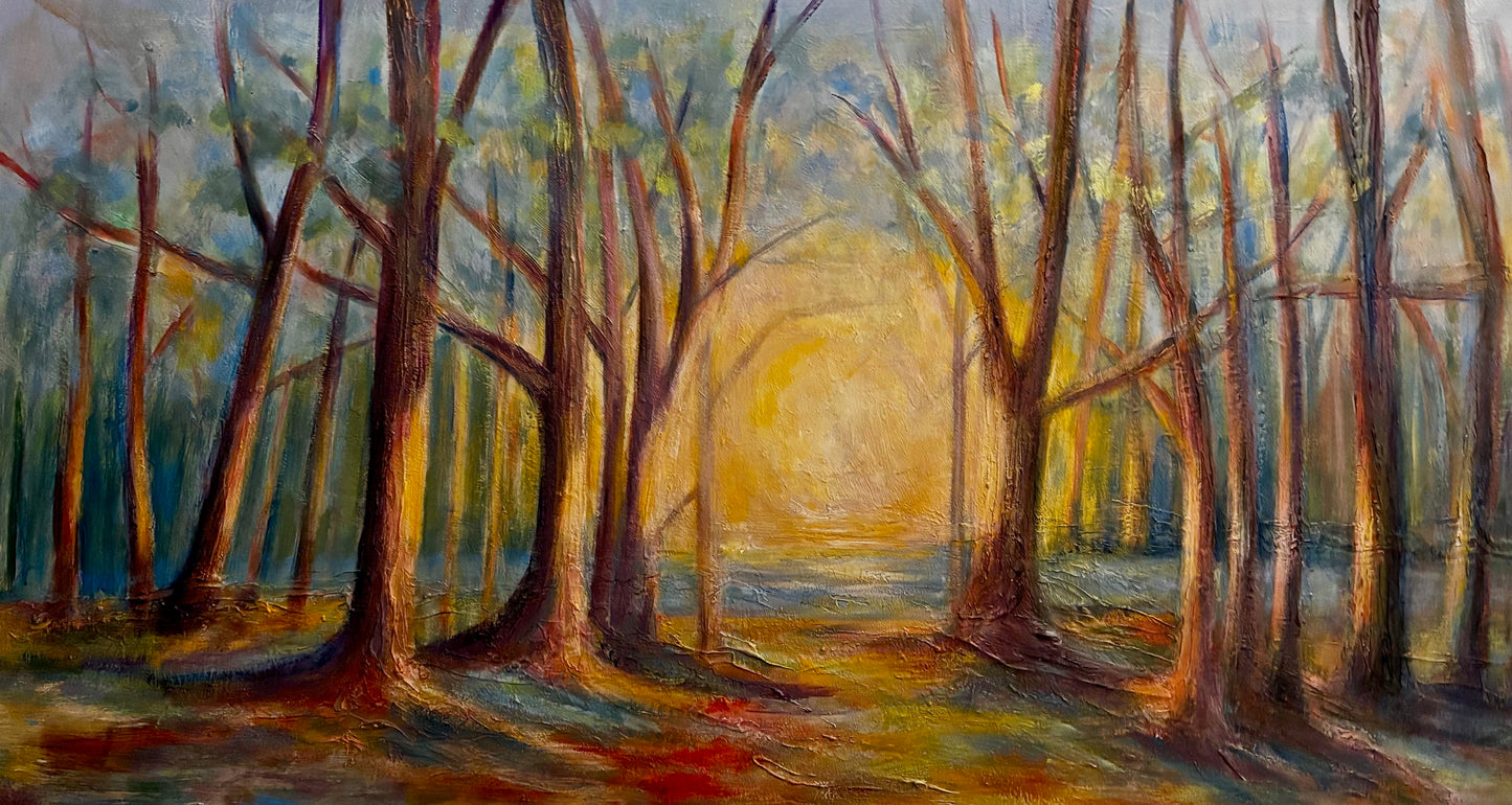 Where Light Enters