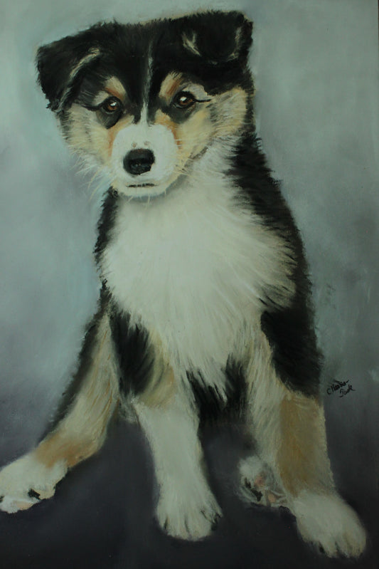 The Puppy