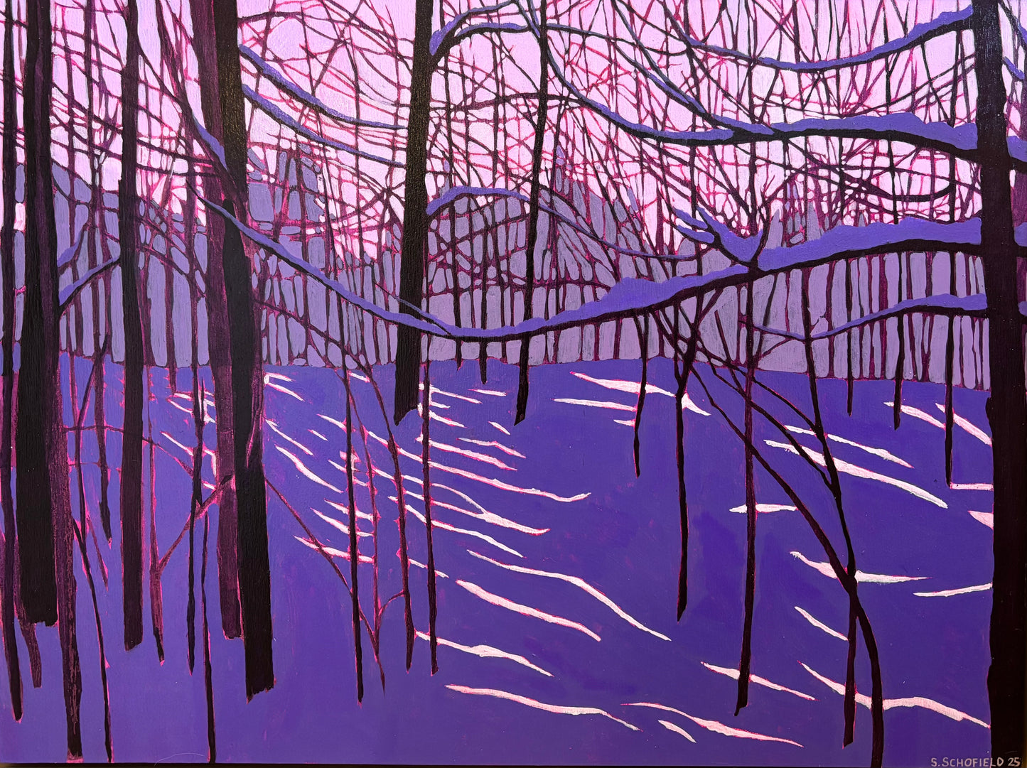 Violet Vibes
