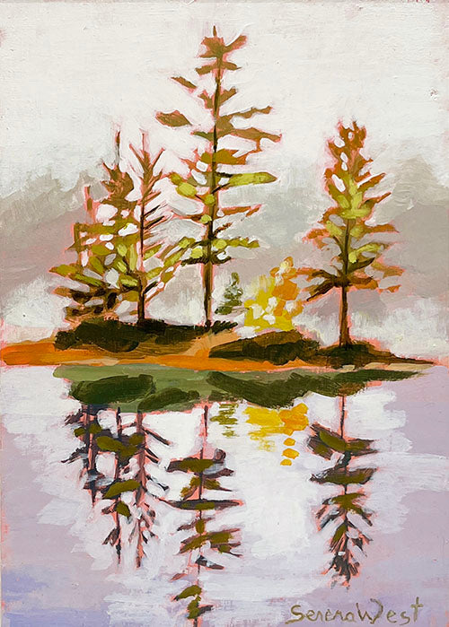 Muskoka Reflections